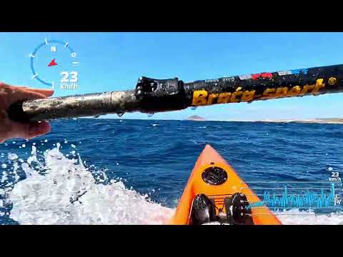 Downwind El Médano Abril 2026