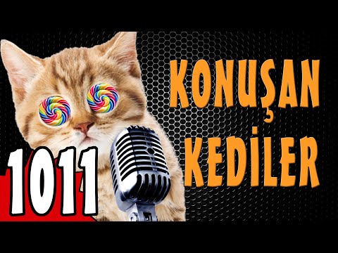 Ramazan Bayramı Özel - Konuşan Kediler 1011 - Yeni Bölüm