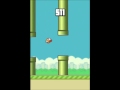 The real end of flappy bird lvl 1000 !!!!!!!! - YouTube