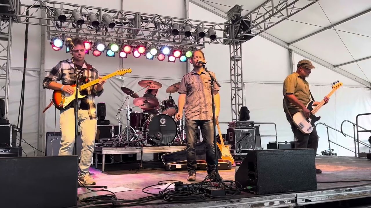Promotional video thumbnail 3 for The Carbonics (indie rock band)