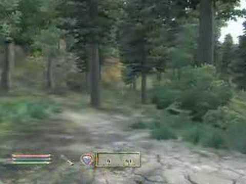 Oblivion Main Quest Walkthrough 24 - Blood of the Divines(1/4)