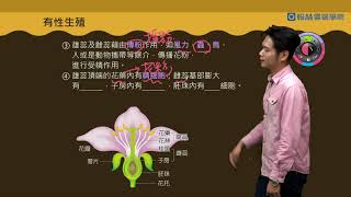 Re: [問卦]估狗草莓 連到翰林雲端學院