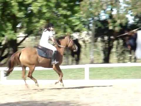 Nuestra alumna: Erika Crespo y su yegua Cachabacha