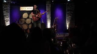 Steve Earle - Sparkle And Shine - City Winery NYC 2/11/19