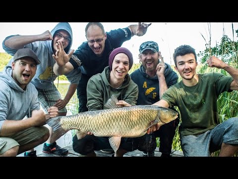 Anfänger VS Profis beim Karpfenangeln | Angeln for Fun #2