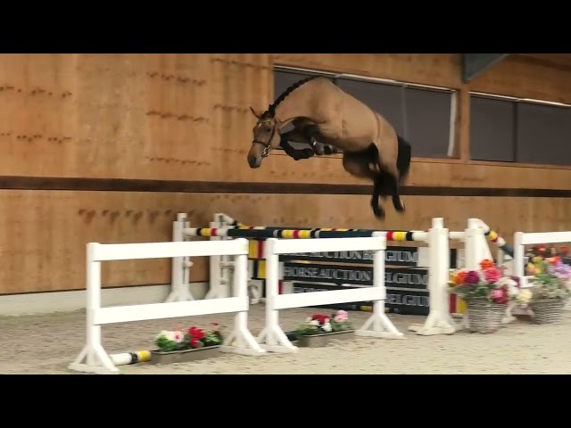 Jumping