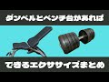 【自宅トレ用】ダンベルとベンチ台があればできるエクササイズまとめ