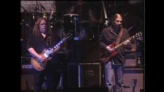 ALLMAN BROTHERS  Every Hungry Woman 2009