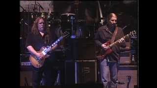 ALLMAN BROTHERS  Every Hungry Woman 2009