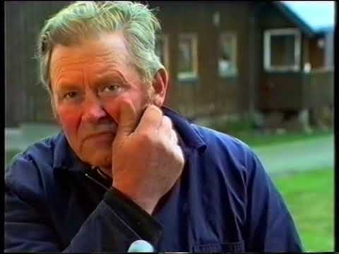 VERDAL LOKAL TV UKE 1108