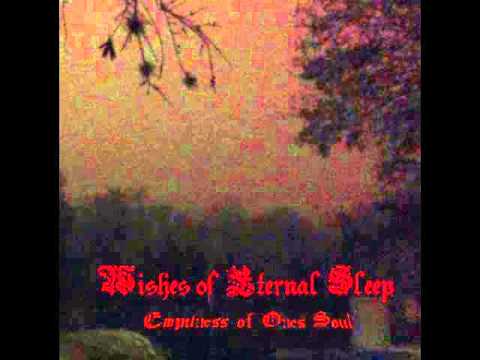 Wishes Of Eternal Sleep - Land's of Cold Desolation (2014)