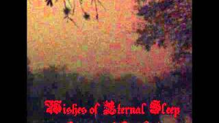 Wishes Of Eternal Sleep - Land's of Cold Desolation (2014)
