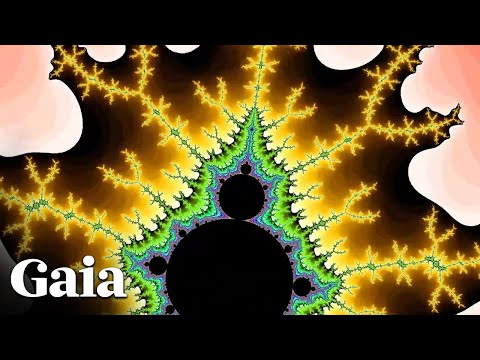 Everything in the UNIVERSE Consists of Fractal Patterns