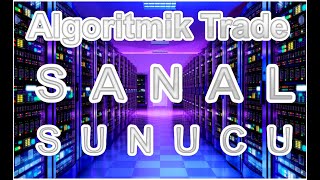 Algoritmik Trade: Sanal sunucu kiralama (WPS-VDS, Bulut sunucu)
