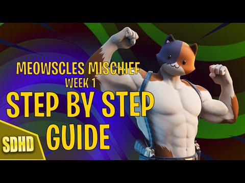 THE BEST *EASY* Guide to Completing Meowscles Mischief FAST!! Week 1