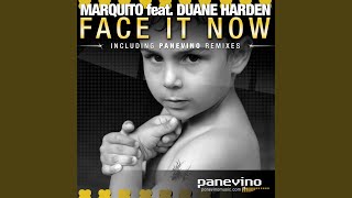Face It Now (Panevino Remix)