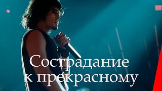 Сострадание к прекрасному (2010)
