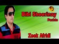 Bibi Sheerinay Zeek Afridi Pashto Song HD Video