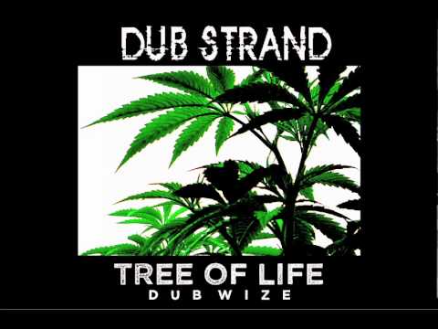 BriZion-Seed of Dub (2006)