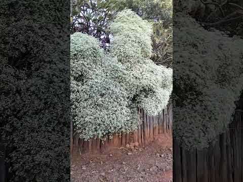 Zona Rural de Itacarambi MG