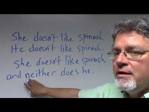 using either and neither