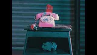 Hooks & The Huckleberries For The Love of Whatever