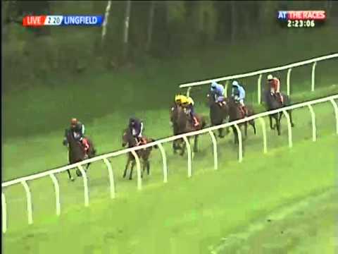 Betfred "The Bonus King" Oaks Trial Stakes 2013