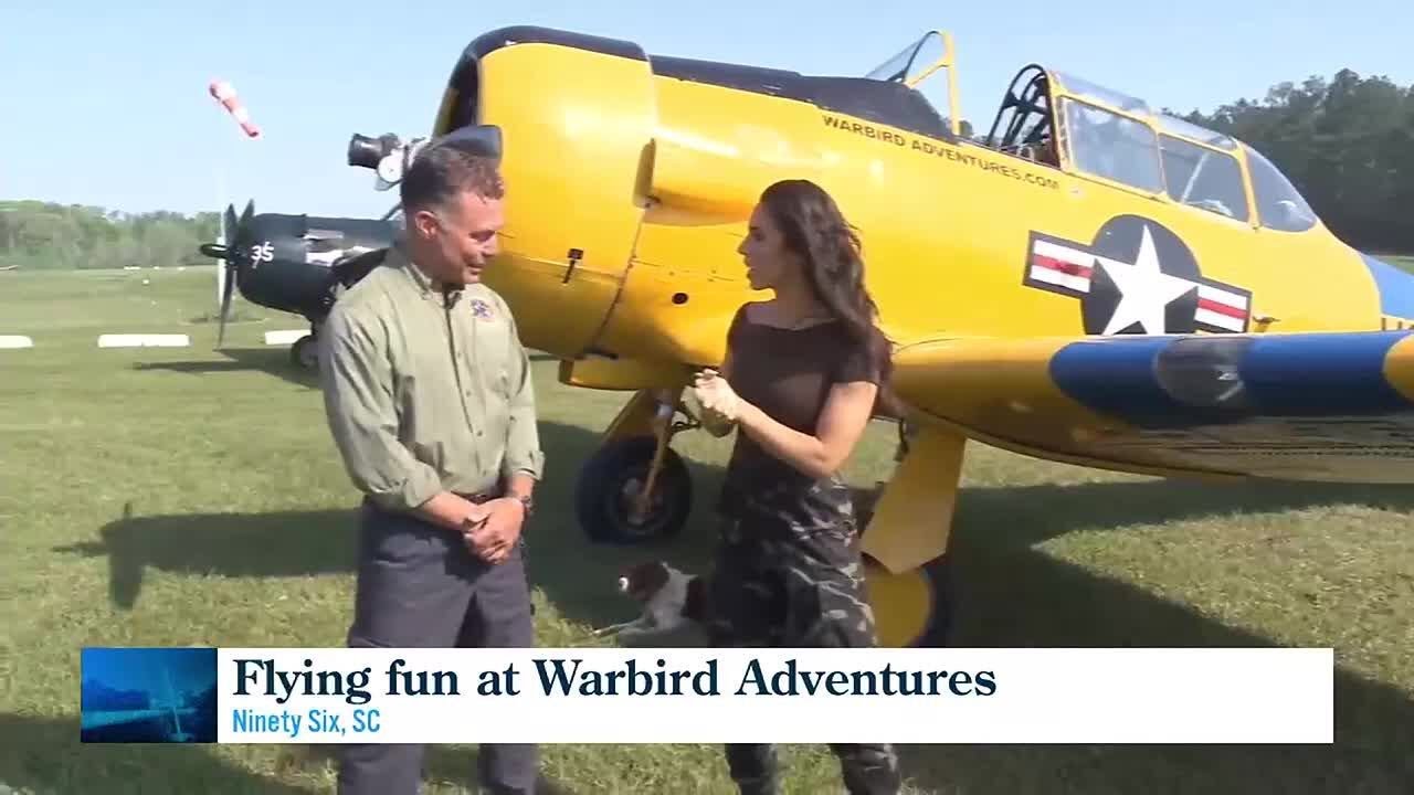Warbird Adventures Vintage Flight School