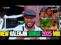 KALENJIN LATEST SONGS 2025 MIX 012 KALENJIN SONGS KILEL VICKY BRUNI KIPSANG DJ VOSTI