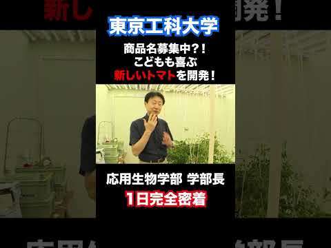 商品名募集中？！子供も喜ぶ新しいトマトとは