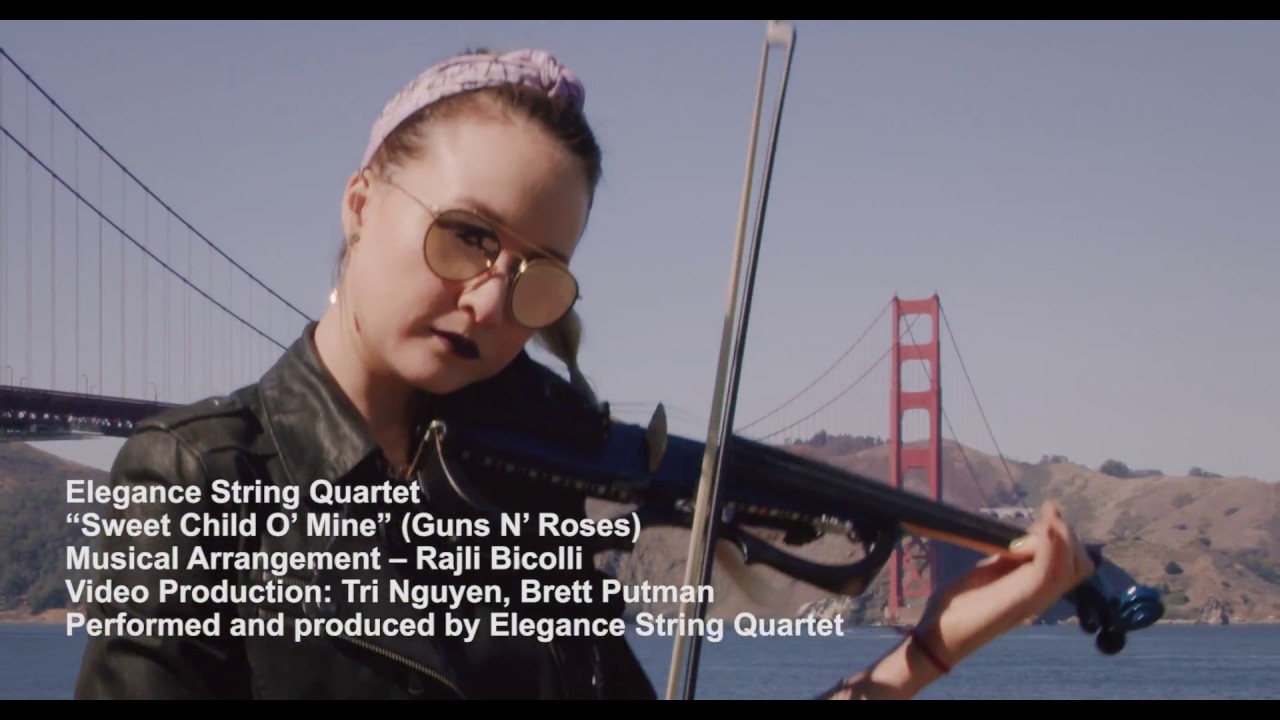 Promotional video thumbnail 5 for Elegance Quartet Entertainment