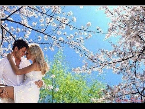 F.K.Rozvíjej se poupátko