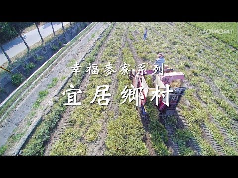 【幸福麦寮】 宜居乡村