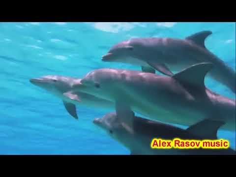 Alex Rasov - Just to be in love