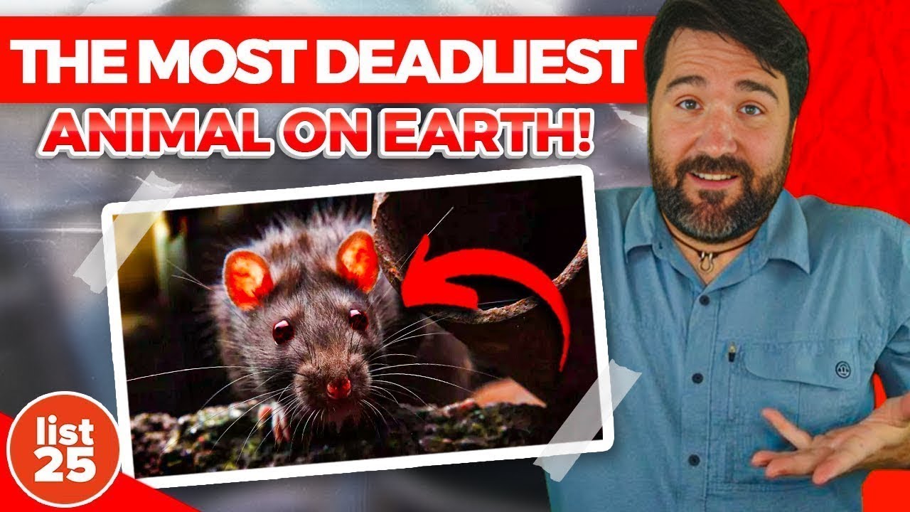 25 Fascinating Facts That Will Amaze and Terrify You at the Same Time