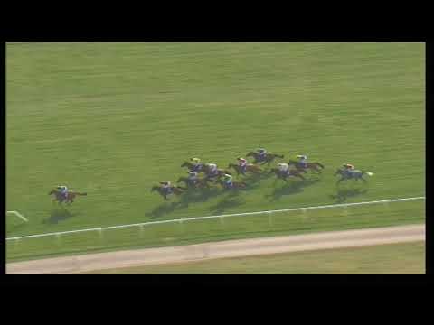 2011 Jewson Novices' Chase - Cheltenham Festival