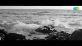 Waqt ne kiya kya haseen sitam song amitabh bachchan