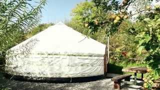 preview picture of video 'Glamping in Ireland at Pink Apple Orchard'
