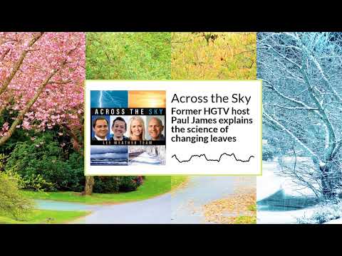 Former HGTV host Paul James explains the science of changing leaves | Across the Sky