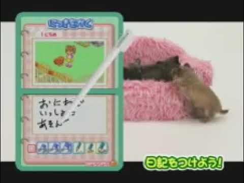かわいい仔犬DS