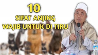 Download lagu 10 SIFAT ANJ**G WAJIB UNTUK DI TIRU ‼️ TGH HULAIMI Ceramah Sasak mp3 Download lagu 10 SIFAT ANJ**G WAJIB UNTUK DI TIRU ‼️ TGH HULAIMI Ceramah Sasak mp3