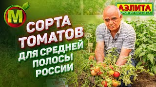 Томат Диво дивное: отзывы, описание сорта, фото, видео, отзывы ...