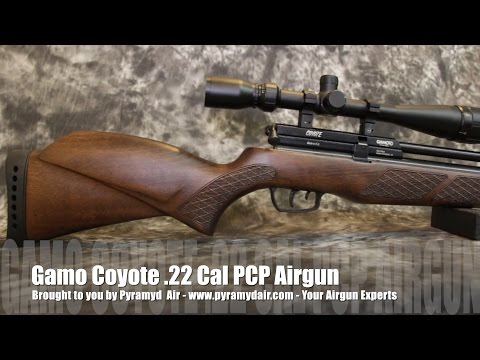 Gamo Coyote PCP .22 Caliber - Airgun Review by AirgunWeb / Rick Eutsler