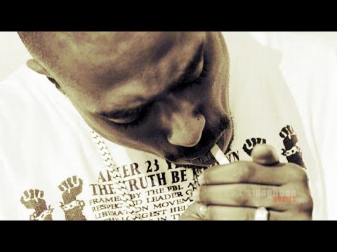 2Pac - Danger Zone (DJ Slaughter)