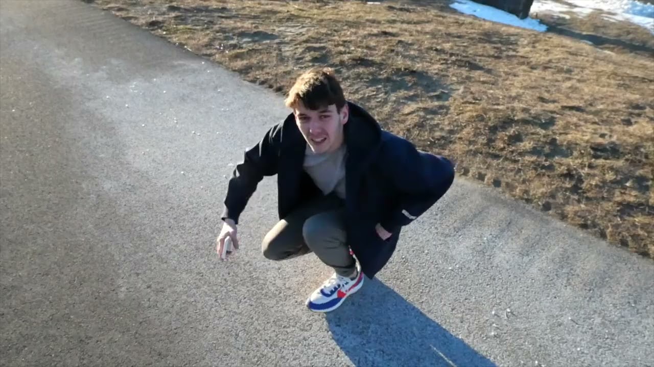 Anatidaephobia