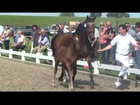 Foal Presentation President's Chagall D&R 2012