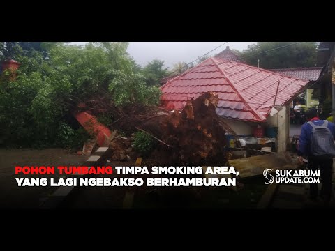 Video:Pohon Tumbang Timpa Smoking Area, Yang Lagi Ngebakso Berhamburan