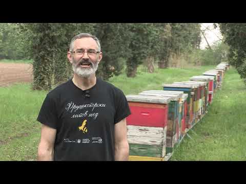 Boja meda ep.63 21.05.2019. - Oplodnja i kvalitet matice...