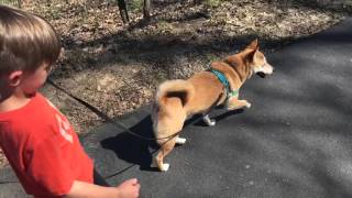 Gideon Walks in the Park