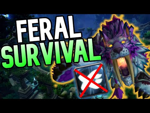 WHAT IS TOUCH OF KARMA?! - Feral PvP BFA 8.3
